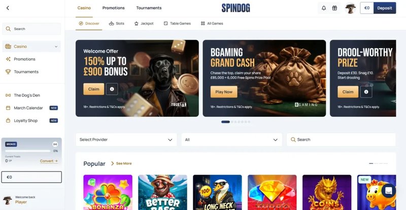 Discover the Exciting World of Spindog Casino in the UK